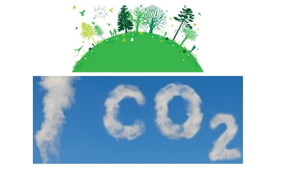 Cual es el origen del Certificado Energético